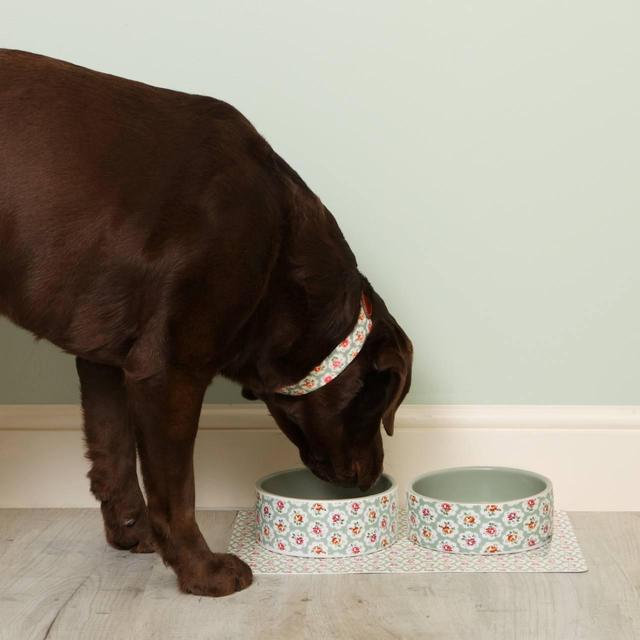 Cath Kidston Provence Rose Ceramic Feeding Bowl My Pets Me