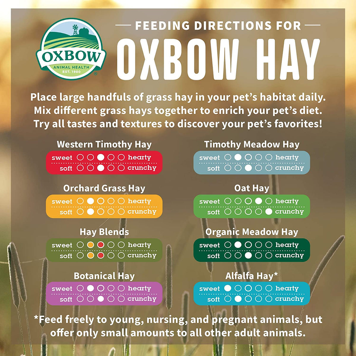 Oxbow Botanical Hay 425g – My Pets & Me