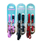 Puppy & Co Red Puppy Collar & Lead Set