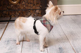 Tweedy Dog Harness