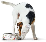 Hunter Mogami Melamine Feeding Bowl