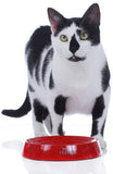 Red Hunter Melamine "by Laura" Cat Feeding Bowl