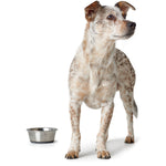 Hunter Stainless Steel Pet Feeding Bowl