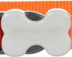 Red Dingo Plain Orange Dog Collar