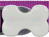 Red Dingo Plain Purple Dog Collar