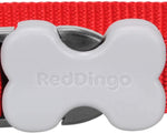 Red Dingo Plain Red Dog Collar