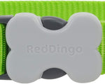 Red Dingo Plain Lime Green Dog Collar