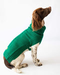 Green Jazz Cableknit Dog Jumper