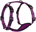 Purple Alcott Reflective Adventure Harness