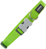 Red Dingo Plain Lime Green Dog Collar