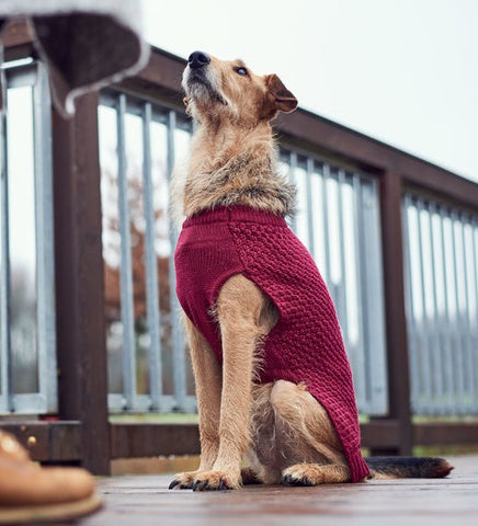 Hunter Malmö Bordeaux Dog Pullover