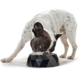 Black Kimberley Melamine Pet Feeding Bowl