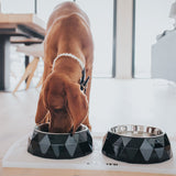 Black Kimberley Melamine Pet Feeding Bowl