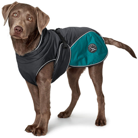 Teal Uppsala Cozy Dog Coat