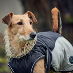 Grey Uppsala Cozy Dog Coat