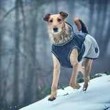 Grey Uppsala Cozy Dog Coat