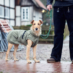 Khaki Hunter Uppsala Trend Dog Coat