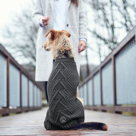 Hunter Malmö Anthracite Dog Pullover