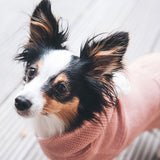 Pink Hunter Rögla Dog Pullover