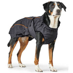 Uppsala Thermo Anthracite Dog Coat