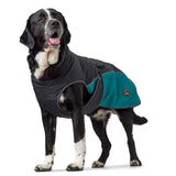 Teal Uppsala Allrounder Dog Coat