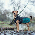 Teal Uppsala Allrounder Dog Coat