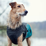 Teal Uppsala Allrounder Dog Coat