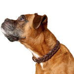 Dark Brown Hunter Solid Education Special Leather Dog Collar