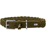 Olive Green Hunter Solid Education Special Leather Dog Collar