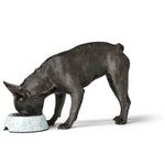 Blies Melamine Pet Feeding Bowl