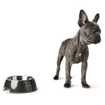 Burgos Melamine Pet Feeding Bowl