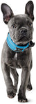 Hunter Divo Light Blue Nylon Dog Collar