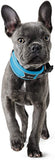 Hunter Divo Light Blue Nylon Dog Collar