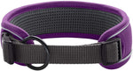 Hunter Divo Violet Nylon Dog Collar