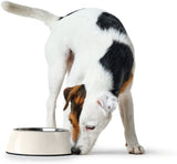 White Hunter Melamine Pet Feeding Bowl