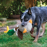 KONG Honkers Shakers Large Duck Dog Toy