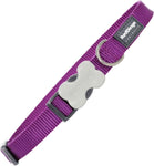 Red Dingo Plain Purple Dog Collar