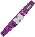 Red Dingo Plain Purple Dog Collar