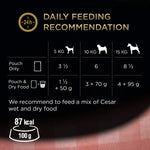 Cesar Deliciously Fresh - Wet Dog Food for Adult Dogs 1+, 48 Pouches (2 x 24 x 100 g)