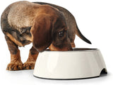 White Hunter Melamine Pet Feeding Bowl