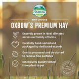 Oxbow Botanical Hay 425g