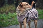 Taupe Uppsala Water Repellent Reflective Dog Coat