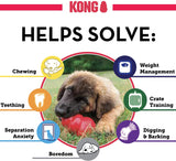 KONG - Extreme Dog Toy - Medium Dogs