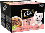 Cesar Deliciously Fresh - Wet Dog Food for Adult Dogs 1+, 48 Pouches (2 x 24 x 100 g)