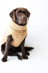 Camel Jazz Cableknit Dog Jumper