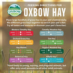 Oxbow Botanical Hay 425g