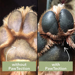 PawTector by The Natural Dog Company