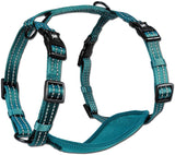 Blue Alcott Reflective Adventure Harness