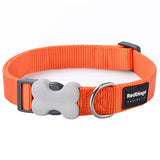 Red Dingo Plain Orange Dog Collar