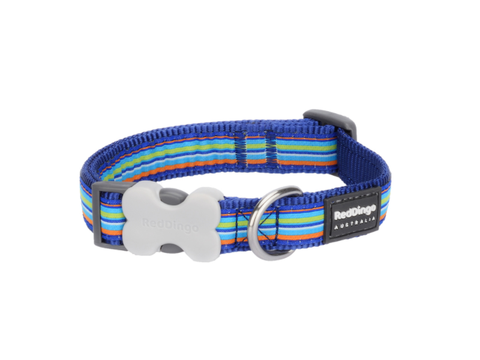 Red Dingo Dark Blue Stripes Dog Collar